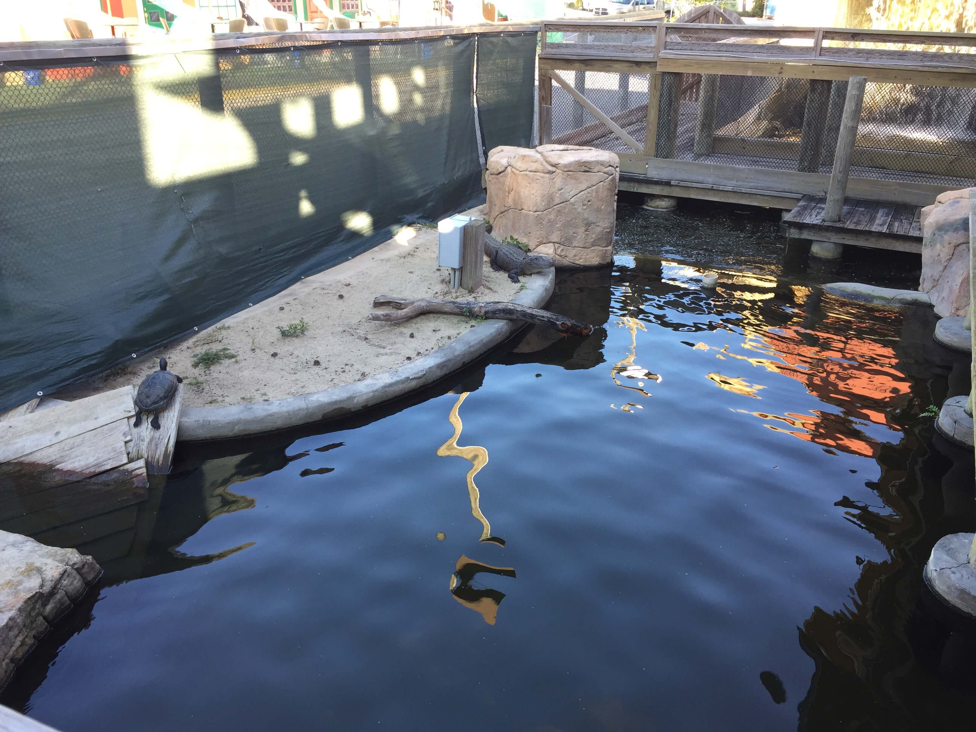 Gator Golf Orlando Review — The Journey Home Family