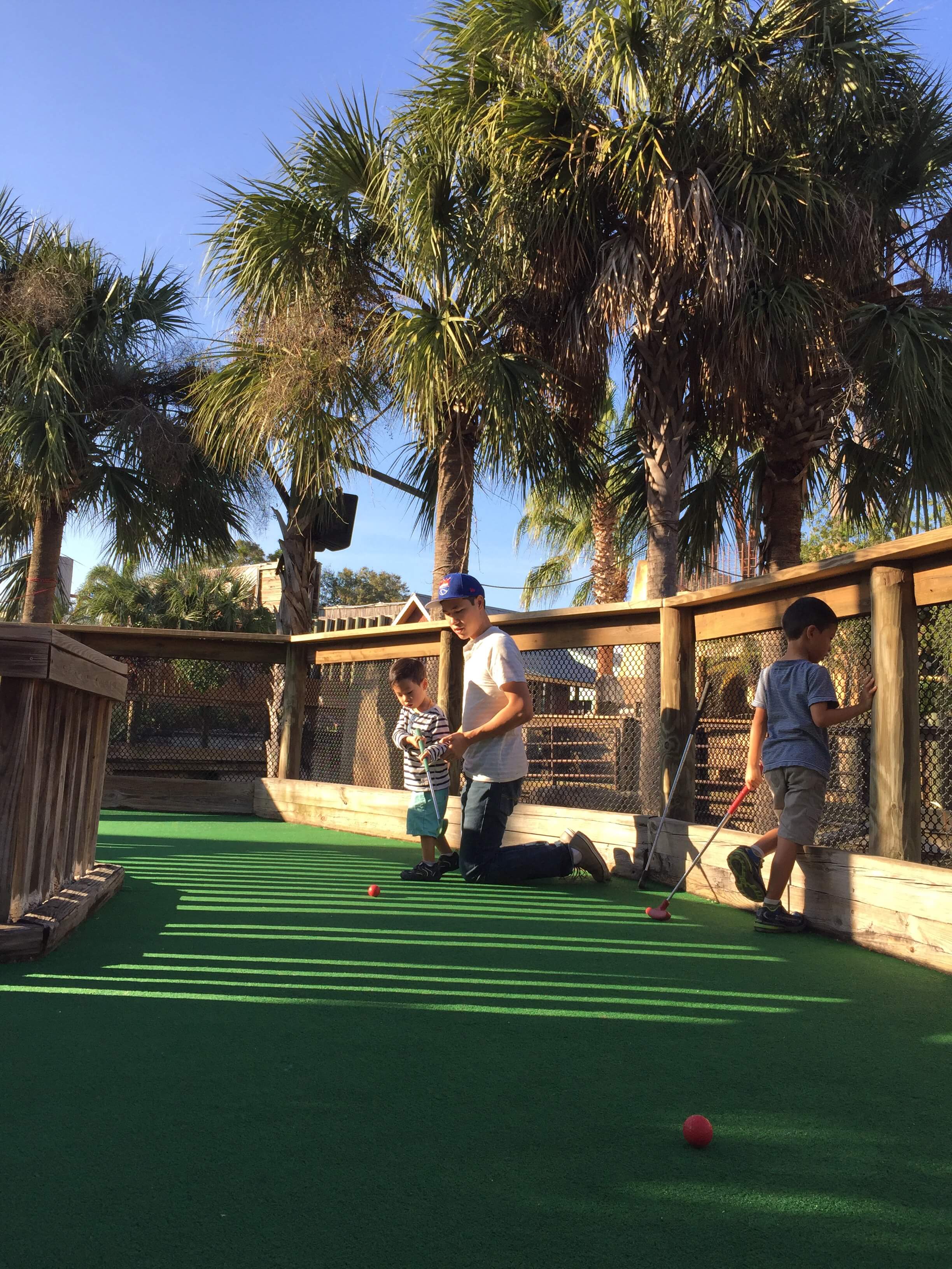 Gator Golf Orlando Review — The Journey Home Family